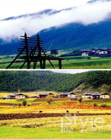 尼汝 尼汝
