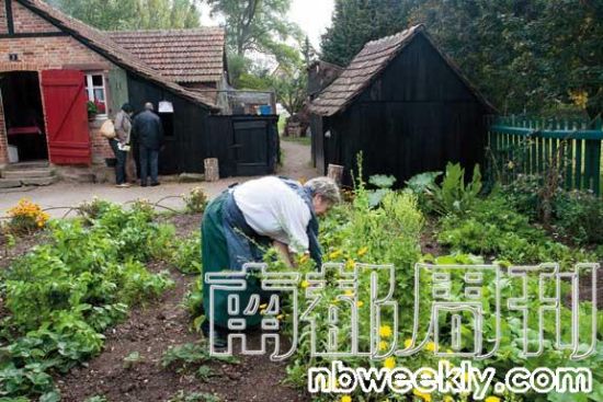 2号房子里,一个白头发老婆婆正忙里忙外,准备午餐、给山羊喂草、为地里的蔬菜除草…… 2号房子里,一个白头发老婆婆正忙里忙外,准备午餐、给山羊喂草、为地里的蔬菜除草……