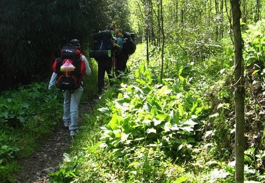四川瓦屋山迷魂凼 四川瓦屋山迷魂凼