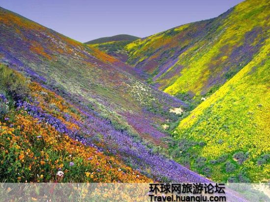 五彩缤纷 五彩缤纷