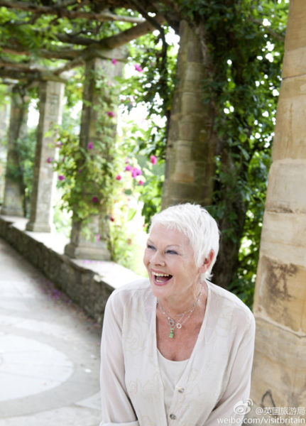 Judi Dench 朱迪•丹奇 Judi Dench 朱迪•丹奇