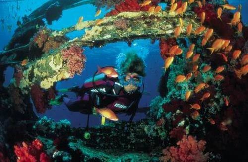 红海潜水 红海潜水