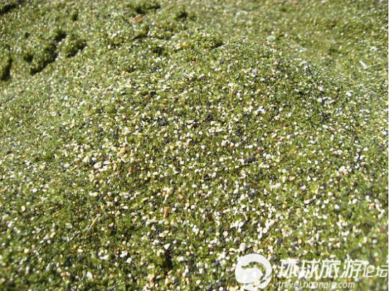 “宝石”铺就的绿沙滩 “宝石”铺就的绿沙滩