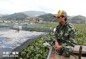 福建古田县闽江段水葫芦成灾 渔民无法恢复生
