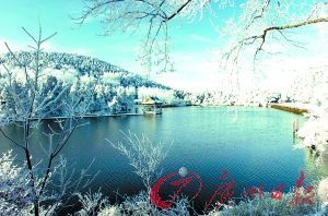庐山雪景 庐山雪景