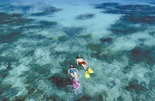 色彩斐济 色彩斐济