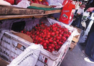大连樱桃价格从4月初上百元1斤降至三四十元