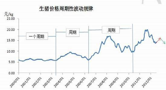 玉米震荡趋涨重心逐步上移(2)