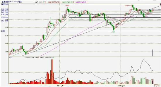 玉米震荡趋涨重心逐步上移(3)