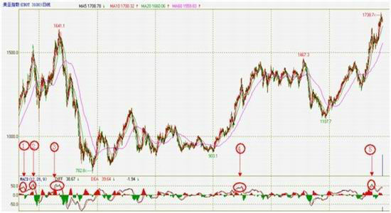渤海期货:豆类技术性调整压力渐显_品种研究