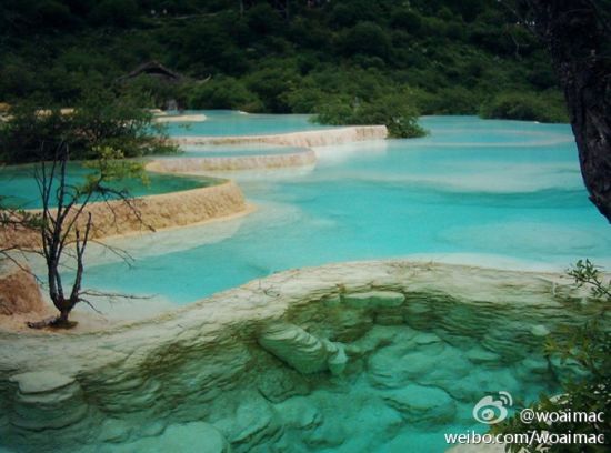 woaimac新浪个人认证 :黄龙景区最大的特色是地表钙华,主要景观多集中于黄龙沟。此沟是一条缓坡沟谷,背倚终年积雪的岷山主峰,高山雪水和涌出地表的岩溶水汇合在一起,随着地势起伏、水流缓急,水中的碳酸钙逐渐沉积,在阳光照射下显现出神奇的色彩,而钙华遍布的整个沟谷则像一条闪着金光的巨龙。 woaimac新浪个人认证 :黄龙景区最大的特色是地表钙华,主要景观多集中于黄龙沟。此沟是一条缓坡沟谷,背倚终年积雪的岷山主峰,高山雪水和涌出地表的岩溶水汇合在一起,随着地势起伏、水流缓急,水中的碳酸钙逐渐沉积,在阳光照射下显现出神奇的色彩,而钙华遍布的整个沟谷则像一条闪着金光的巨龙。