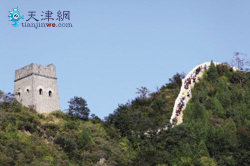 寡妇楼 寡妇楼
