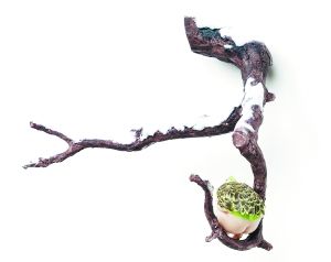 《经过4(4)》2012年 《经过4(4)》2012年