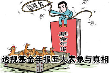 透视基金年报五大表象与真相