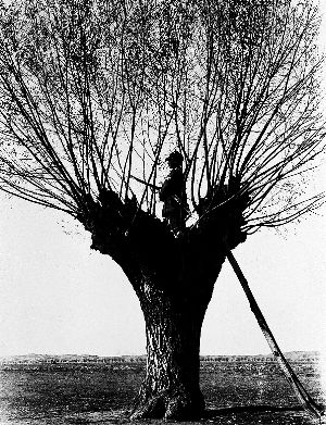 《延安哨兵》 这张照片是徐肖冰最重要的代表作。他在1937年参加八路军,在抗日战争、解放战争年代,拍摄了大量的纪实影片与图片。