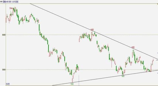 华泰长城期货:供应压力减小 棕油反弹延续|棕榈