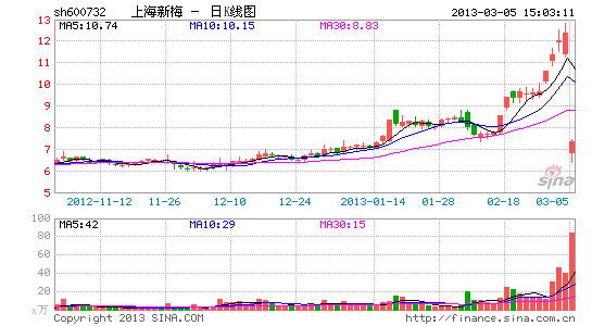 上海新梅大股东称为储备项目筹措资金