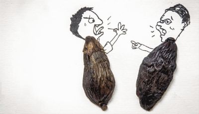 �ڼ���ʽ��������Լ�£��������Ʋ�ҵ�粨���ϡ� ʵϰ���� �ƿ� ��