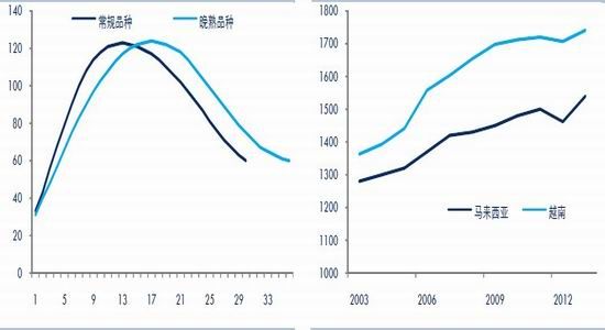 中证期货：供需宽松不改天胶下行难翻身