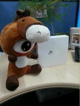 新浪黄金外汇投资者大调查幸运抽奖名单|小马