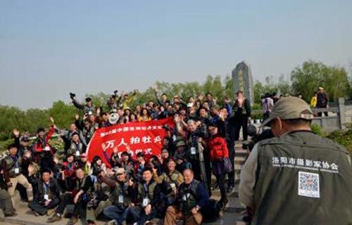 万人拍牡丹启动仪式 万人拍牡丹启动仪式
