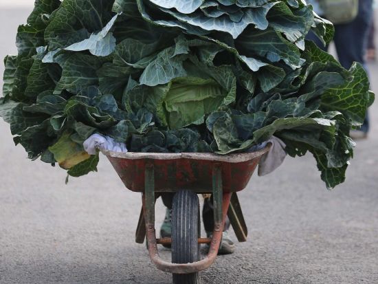 标普500公司95%利润将用于回馈股东|标普500