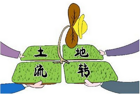 土地流转意见出台 土改题材卷土重来