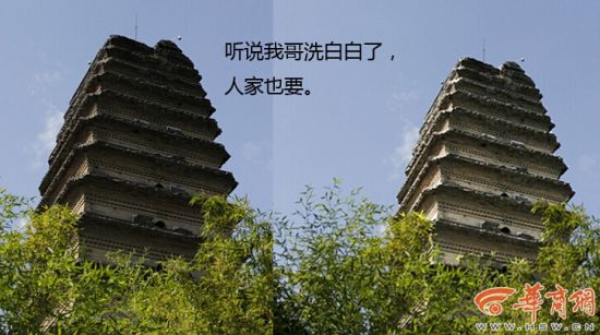 图片版权归原作者所有