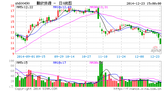 鹏欣资源融资指标触及警示线上交所提示风险