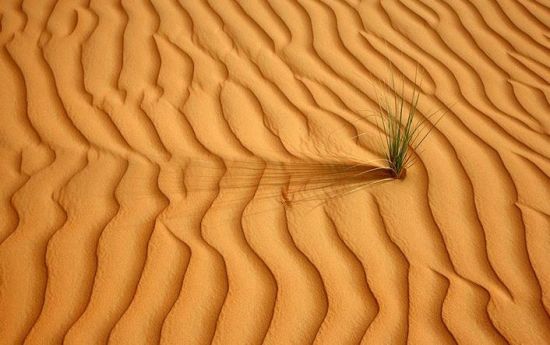 怎样把沙子卖给阿拉伯人|李光斗|沙子|营销