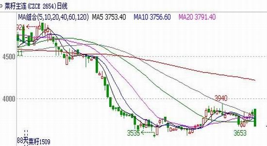 瑞达<a href='https://www.fishea.cn/mall/' target='_blank'>期货</a>(月报):美豆<a href='https://www.fishea.cn/mall/' target='_blank'>利空</a>主导