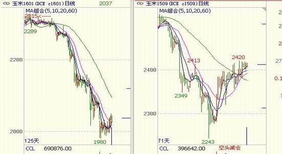 光大期货:收储政策落地