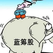 双降加速股市风格切换 蓝筹基金受宠 |蓝筹基金