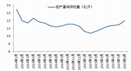 南华期货:鸡蛋投资机会分析|鸡蛋|玉米|期货