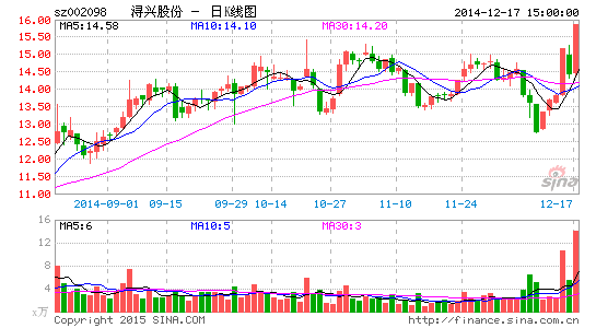 浔兴股份定增3亿 姚明接班人王哲林入股|经济|