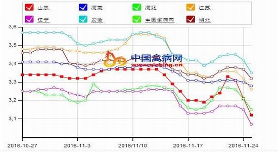 方正中期:鸡蛋现价回落