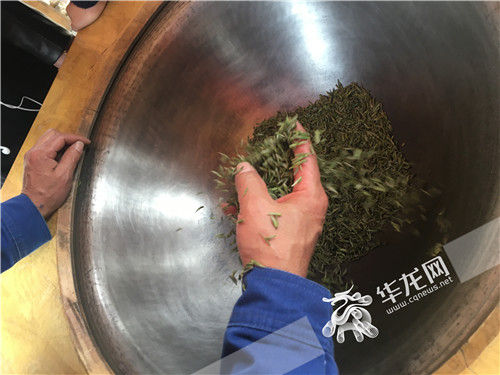 非遗大师全程手工炒制的今春第一批定心手工茶。重庆茶业集团供图 华龙网发 非遗大师全程手工炒制的今春第一批定心手工茶。重庆茶业集团供图 华龙网发