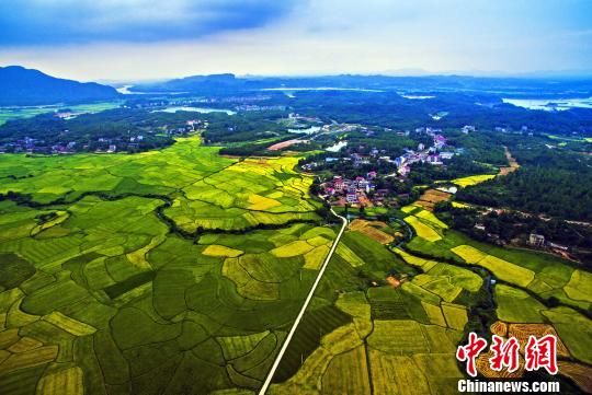 色彩斑斓的稻田,犹如秋天绘制的“调色板”。 色彩斑斓的稻田,犹如秋天绘制的“调色板”。