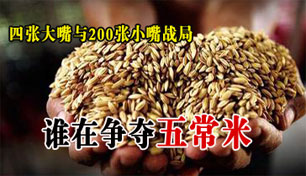 �Ĵ��ͷ200����С��ҵ�����峣������