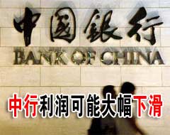 ��Ͷ�������μ�ծ