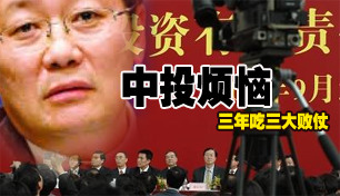 ��Ͷ�ɳ��ķ��գ�������������