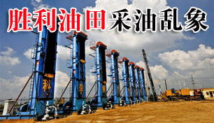 ʤ����������������