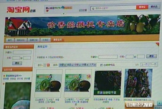 浙江江山:猕猴桃收入超八千万。央视视频截图。