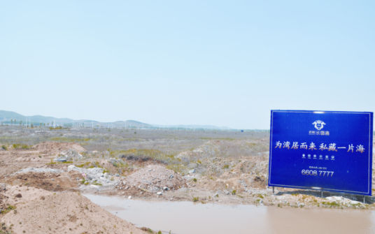 长岛湾项目还没来得及开发的大片空地 陈玉峰 摄