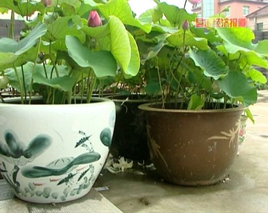 http:\/\/jingji.cntv.cn\/20110718\/107762.shtml