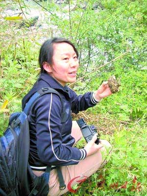 四川卧龙保护区低海拔植被受破坏(组图)