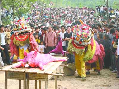 民俗风情:南宁春花节狂抢花炮(图)