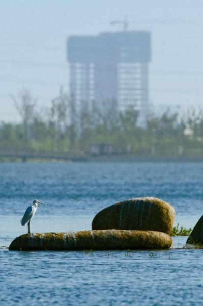 苏州城市湖泊性格榜(图)
