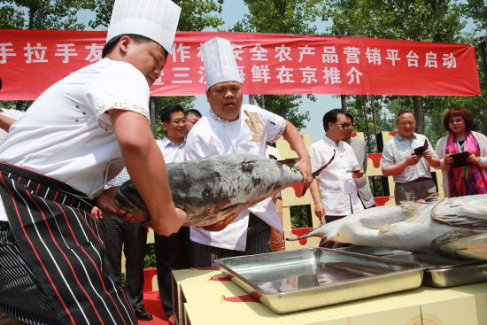 手拉手友好合作村安全农产品营销平台在北京海