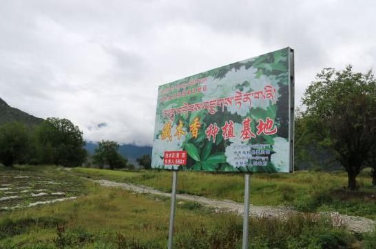 “养生旅游”拉开帷幕 最美林芝演绎绿色生态行 “养生旅游”拉开帷幕 最美林芝演绎绿色生态行